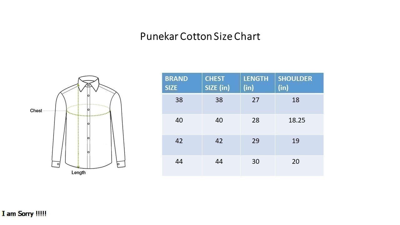Punekar Cotton Printed Sky Blue Color Pure Cotton Handmade Shirt For Men's. - Punekar Cotton